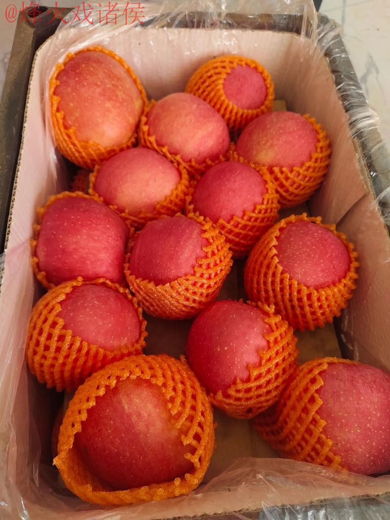 世界杯盘口苹果热门